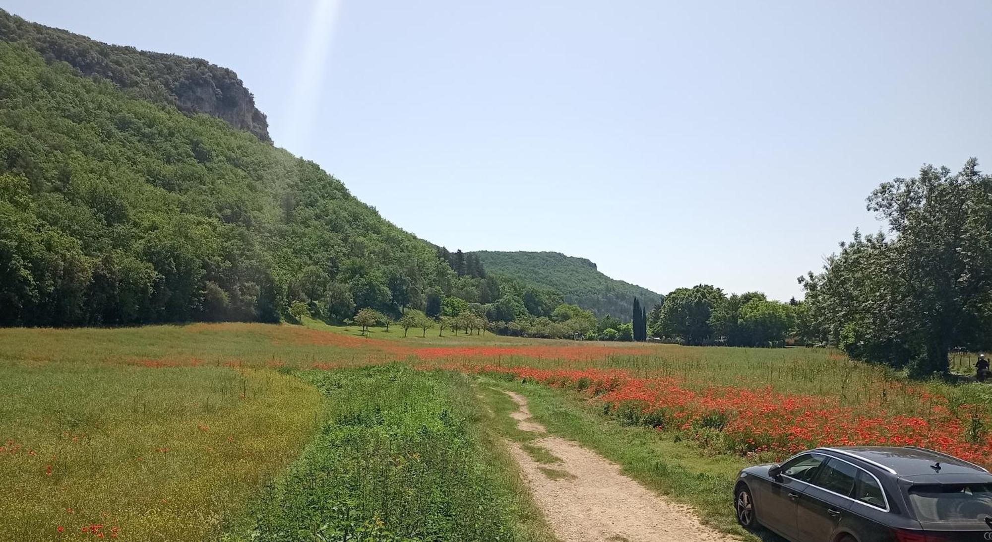 Bed and Breakfast Les Jonquilles Domme Esterno foto