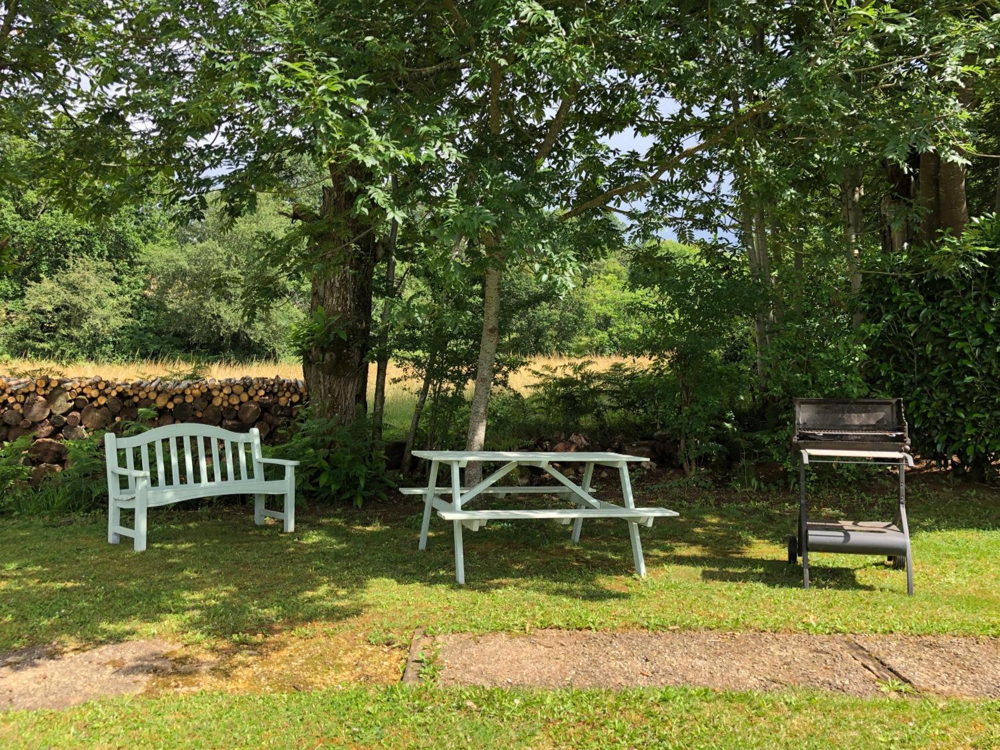 Bed and Breakfast Les Jonquilles Domme Esterno foto